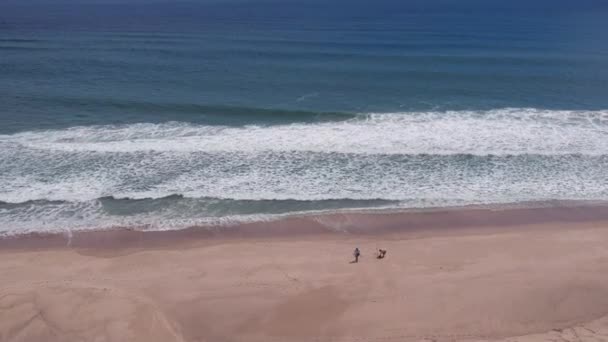 Two Male Fisherman Fishing Cape Cod Beach Bright Sunny Summer — Stock Video