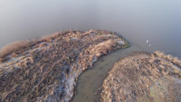 Беспилотный Вид Ручей Озеро Скандинавии Сельские Ландшафты Ташот Долли Шот — стоковое видео