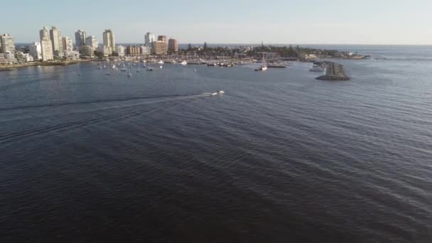 Τουριστικό Λιμάνι Και Punta Del Este Πόλη Στο Παρασκήνιο Ουρουγουάη — Αρχείο Βίντεο