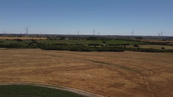 Turbinas Eólicas Energía Renovable Construidas Por Colonia Uruguay — Vídeo de stock
