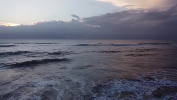 Een Vogel Vliegt Blauwgrijze Golven Bij Mar Las Pampas — Stockvideo