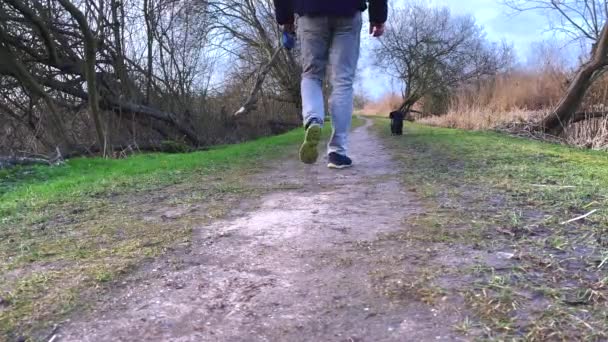 Homme Marche Avec Petite Bolonka Noire Dans Nature — Video