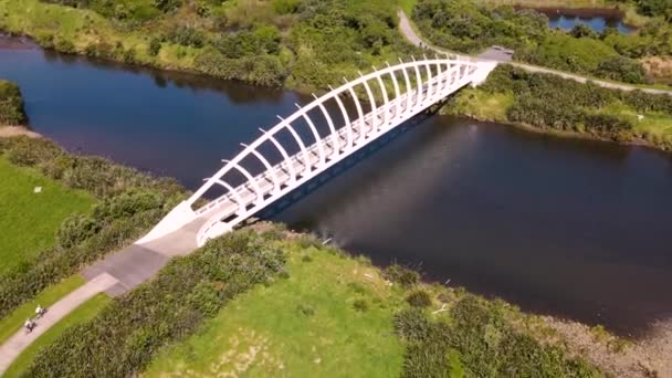 Luftaufnahme Der Rewa Rewa Brücke Über Den Waiwhakaiho Fluss Sommer — Stockvideo