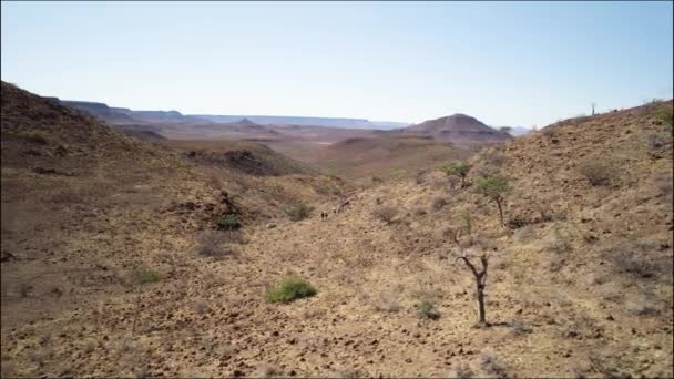 遠く離れた荒野でのガイド付きハイキングコース ナミビアの乾燥した風景 ドローン — ストック動画
