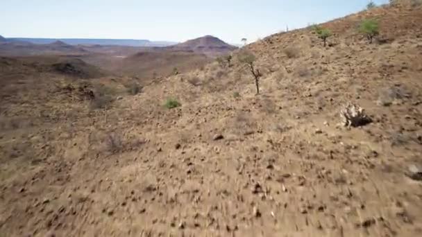 Gruppo Escursionisti Escursione Guidata Nel Deserto Arido Dell Africa Aerea — Video Stock