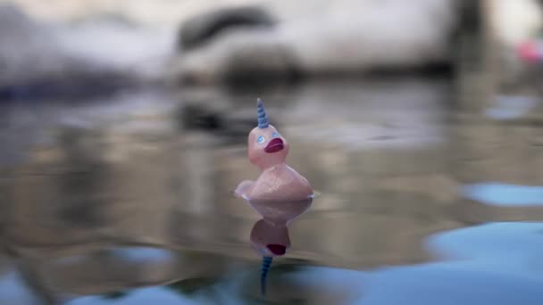 一只长着独角兽角的橡胶鸭在池塘里漂浮 动作缓慢 — 图库视频影像