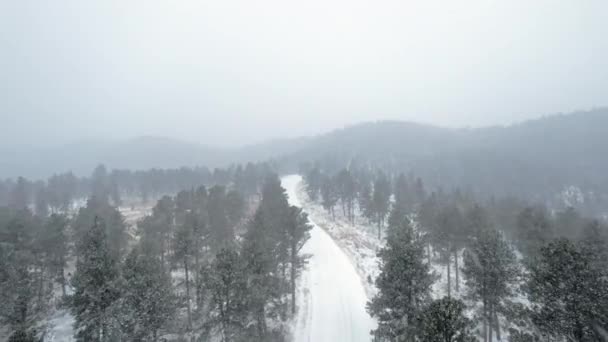 コロラド州ボルダーのフラットアイアン山近くの松の木に囲まれたスノーキャップカントリーロード上空のドローンの空中映像霧の中で吹雪ブリザード — ストック動画