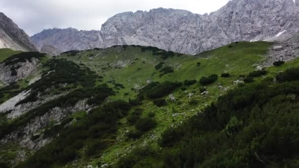 Österrikiska Alperna Buskar Bergstoppar Antenn — Stockvideo
