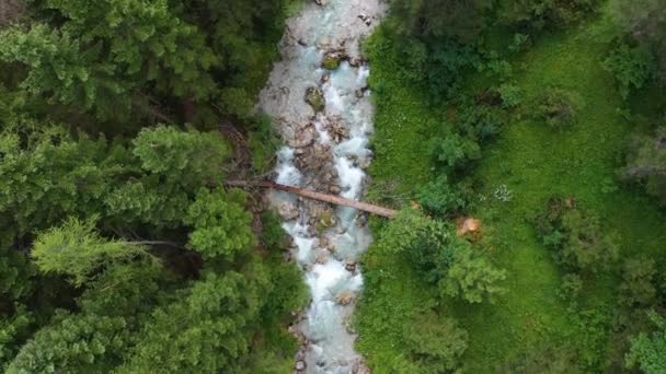 奥地利阿尔卑斯山急流森林树木头顶空中 — 图库视频影像