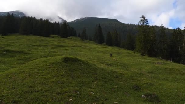 Человек Поднимающийся Австрийские Альпы Травой Полями — стоковое видео