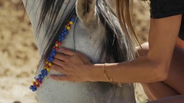在特写镜头中 女人喜欢慢动作的马头 爱与友谊概念 — 图库视频影像