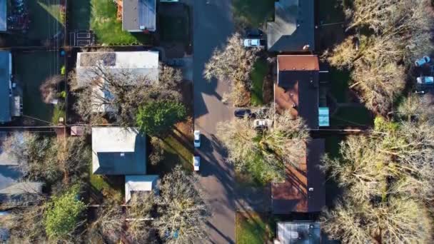 Aves Aéreas Olho Drone Tiro Com Vista Para Casas Suburban — Vídeo de Stock