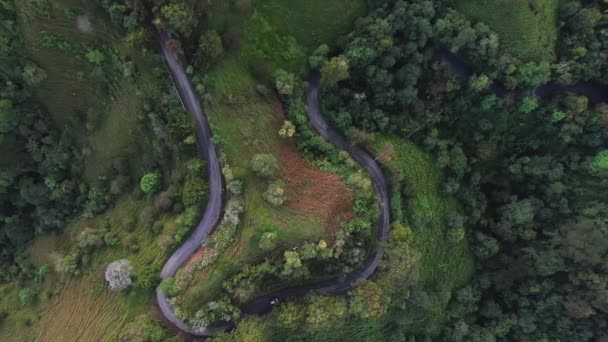 Över Slingrande Bergsväg Grön Skog — Stockvideo