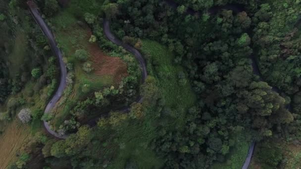 Aerial View Twisty Paved Road Lush Forested Mountainside — Stock Video