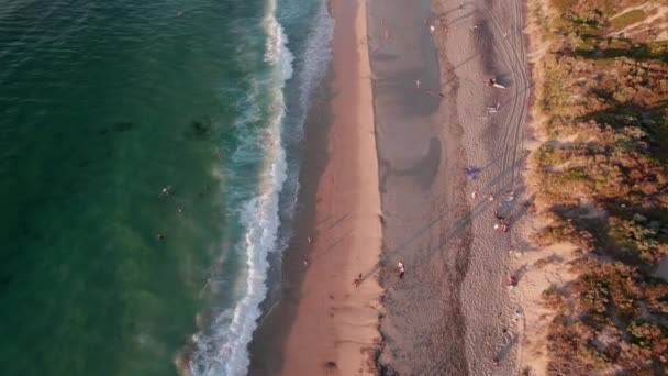 Lotu Ptaka Widać Ludzi Bawiących Się Turkusowym Morzu Dużej Plaży — Wideo stockowe