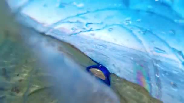 Oförsiktig Plastflaska Som Flyter Havet Och Förorenar Miljön Sett Inifrån — Stockvideo