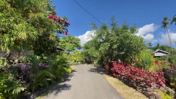 Pov Calle Con Plantas Ornamentales Casas Rurales Típicas Frontera Entre — Vídeos de Stock