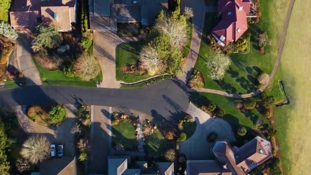 可俯瞰郊区房屋的4K无人驾驶飞机射击 — 图库视频影像