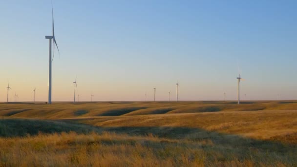 Mulini Vento Quanto Occhio Può Vedere Una Pianura Dorata Wyoming — Video Stock