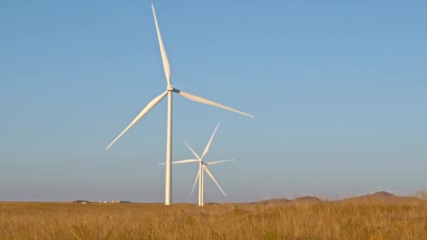 Windmühlen Einer Reihe Auf Goldener Wyoming Ebene Vor Blauem Himmel — Stockvideo