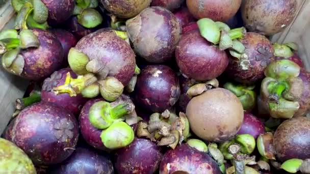 東南アジアの熟した紫色のマンゴスチンの熱帯食用果物の箱 遅いパンの上から下へ — ストック動画