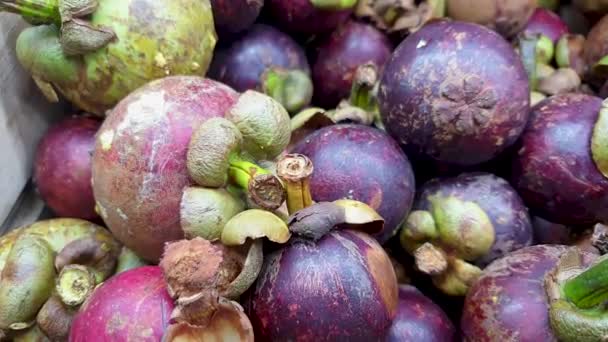 Egy Doboz Egzotikus Érett Lila Mangosztán Trópusi Ehető Gyümölcs Délkelet — Stock videók