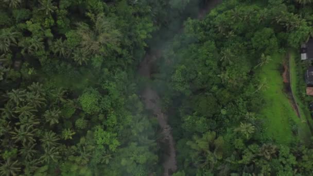 Moody Rivier Vallei Met Lichte Mist Weelderige Tropische Regenwoud Antenne — Stockvideo