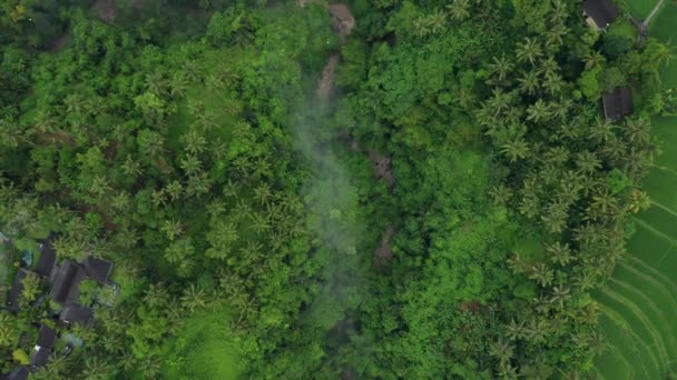 Природнича Долина Річок Сільській Місцевості Індонезії Вгорі Вниз — стокове відео