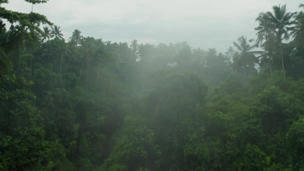 Volar Través Del Valle Tropical Bali Con Niebla Escena Dramática — Vídeo de stock