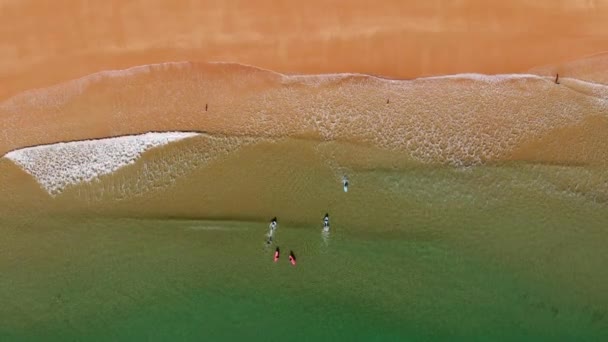 People Surfing Idyllic Clear Water Golden Beach Top Aerial — Stock Video