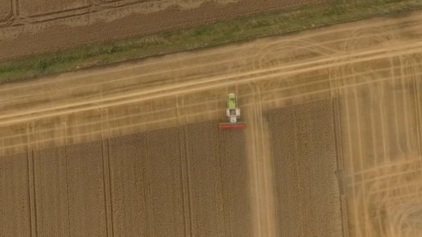 Colheita Drone Siga Ceifeira Como Ele Cultiva Campo — Vídeo de Stock