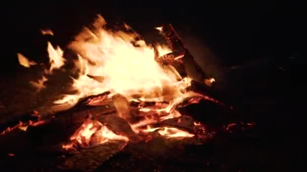Lángoló Tűz Égő Erdők Emberekkel Szabadban Kemping Közelkép — Stock videók