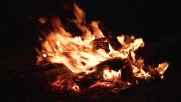 Firewood Burning Campfire Night Close — Stock Video