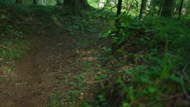 Mountain Biker Drifts Steep Trail — Stock Video