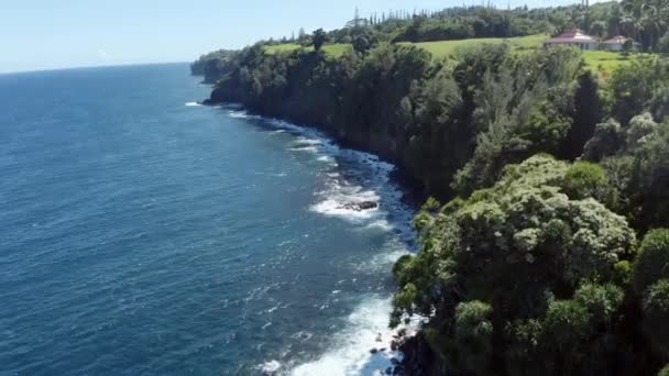 ハワイのビッグアイランドの素晴らしい景色 緑豊かな緑に囲まれた美しい海と崖 島の植生を持つリゾート地でのドローン撮影 超現実的な空中ビュー4K Uhd — ストック動画