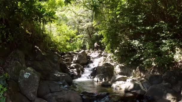 Мандрівники Задньому Плані Подорожують Водоспадів Rainbow Falls Hilo Hamakua Державному — стокове відео