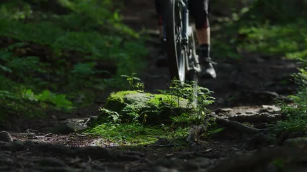 マウンテンバイクがスローモーションで岩を飛び越える — ストック動画