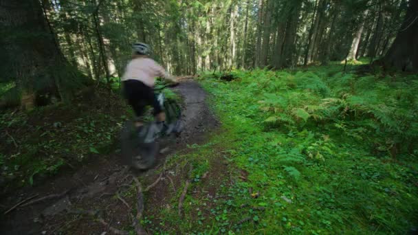 Ciclista Está Montando Través Extenso Bosque Con Velocidad — Vídeos de Stock