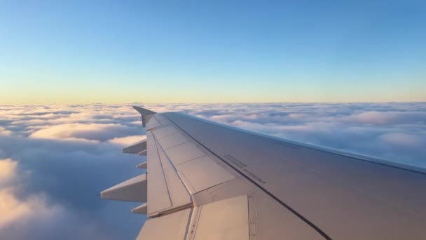 Internationale Flugbilder Vom Fenster Des Flugzeugs Das Über Den Wolken — Stockvideo