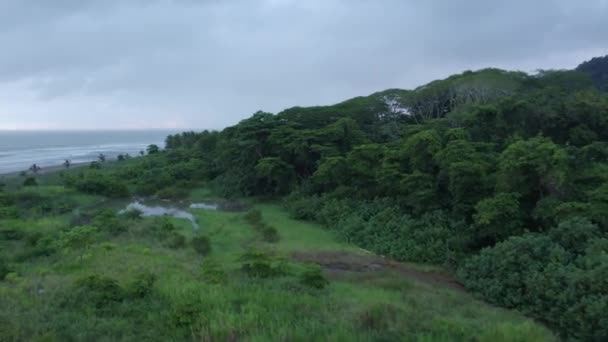 Caminhão Aéreo Deixado Sobre Floresta Tropical Densa Verde Perto Ondas — Vídeo de Stock