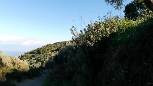 Shot Right Left Right Hilly Terrain Lush Green Vegetation Bright — Stock Video