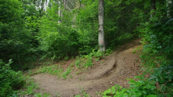 Rowerzysta Górski Jedzie Przez Ciasne Zakręty Spinki Włosów Prędkością — Wideo stockowe