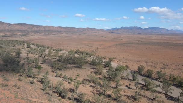 Vista Panorámica Aérea Brachina Gorge Creek Con Vegetación Australian Outback — Vídeo de stock