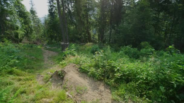 Mountain Biker Rides Stump High Speed — Stock Video