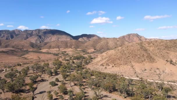 Vista Aérea Brachina Gorge Rodeado Por Colinas Cordilheira Como Fundo — Vídeo de Stock