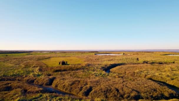 Small River Cascading Majestic Rural Landscape Aerial Fly Forward Shot — Stock Video
