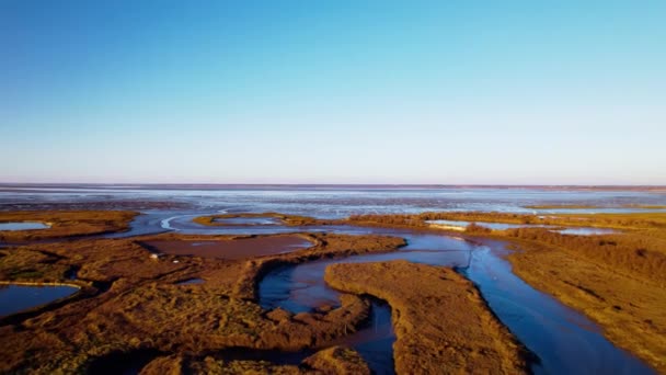 Humedales Pantanosos Masivos Hermoso Día Soleado Tiro Aéreo Con Drones — Vídeos de Stock