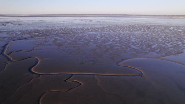 Infinitas Zonas Húmidas Rio Com Ramos Profundos Cascatas Através Drone — Vídeo de Stock