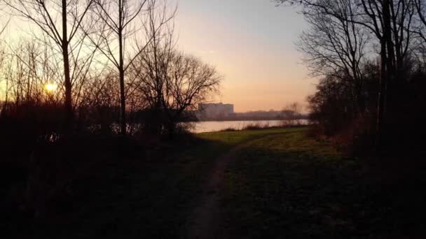 Pov Μέσω Silhouetted Woodland Path Δίπλα Στο Oude Maas Sunset — Αρχείο Βίντεο