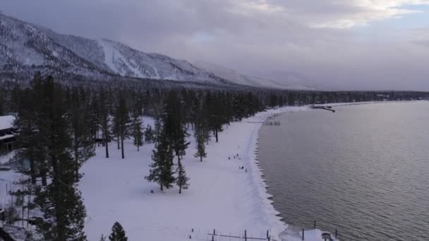 飞过白雪覆盖的太和湖白雪覆盖的海岸 前景一片松林 远方乌云一片 — 图库视频影像